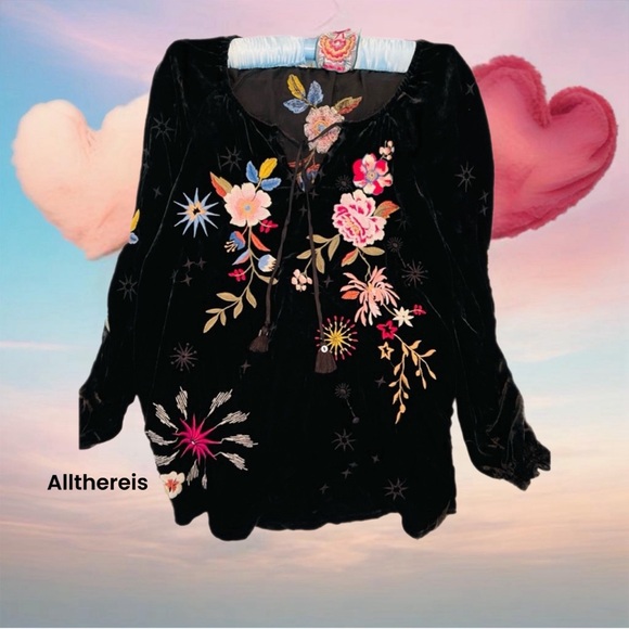 HP๐ JohnnyWas Velvet top  ๐บ๐ธ - Picture 10 of 16